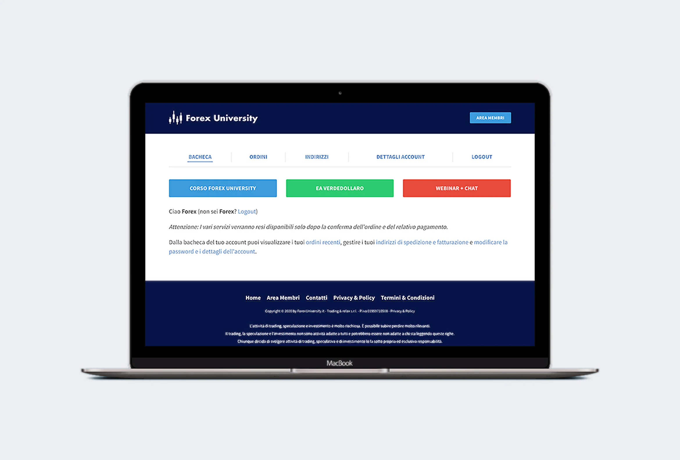 Forex University