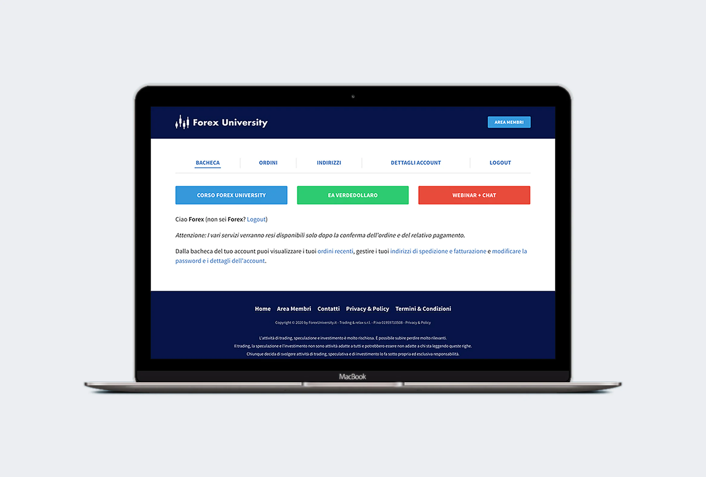 Forex University